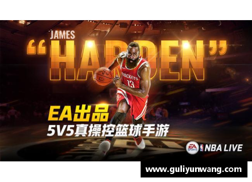 OB视讯官方网站小丁走向NBA：一个梦想的实现与挑战 - 副本